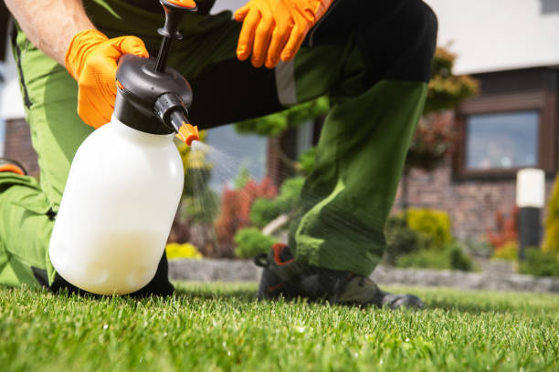 Best Termite Control Services  in Holt, AL