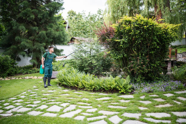 Professional Pest Control in Holt, AL