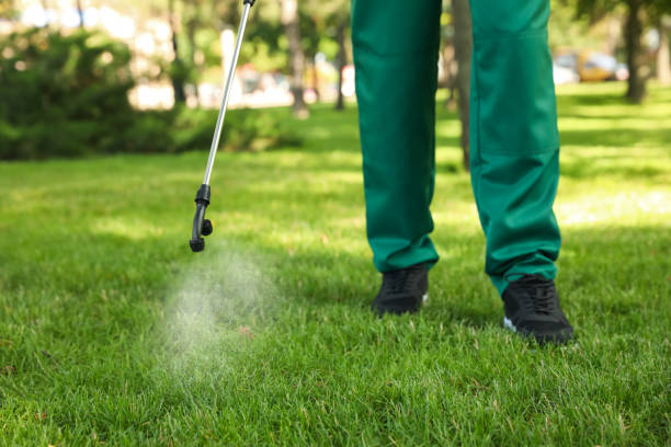Best Pest Removal Services  in Holt, AL
