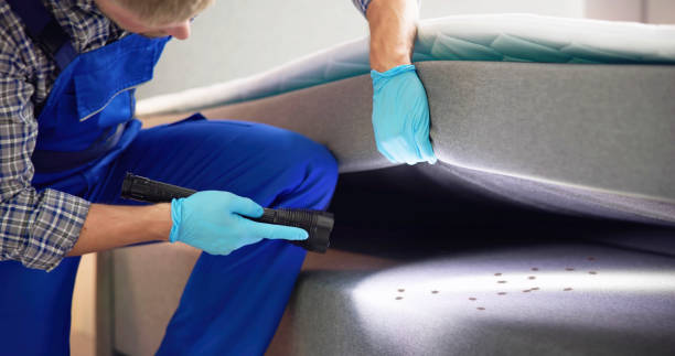 Best Wasp Removal Services  in Holt, AL