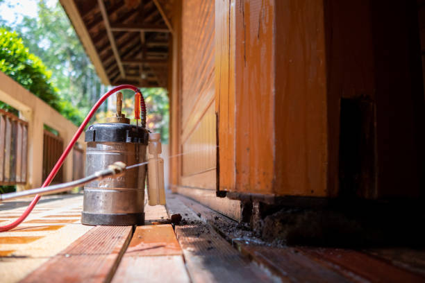 Best Best Pest Control Companies  in Holt, AL