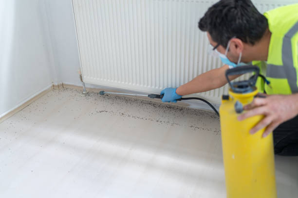 Best Residential Pest Control  in Holt, AL